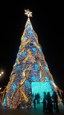 公園のクリスマスツリー