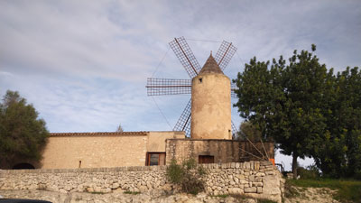 ソンフォルネス考古学博物館