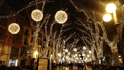 大通りのイルミネーション