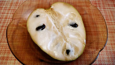 半分にカットしたチリモヤ