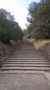 お城の前の階段